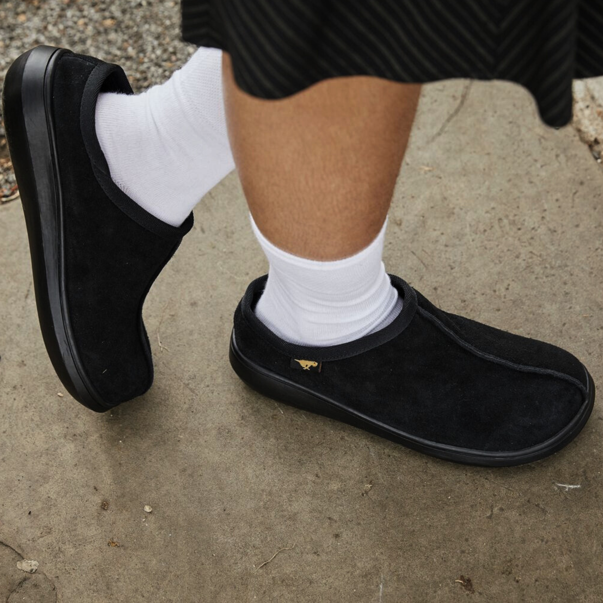 Women's black suede shoe, everyday and comfortable – Rocket Dog Sugar