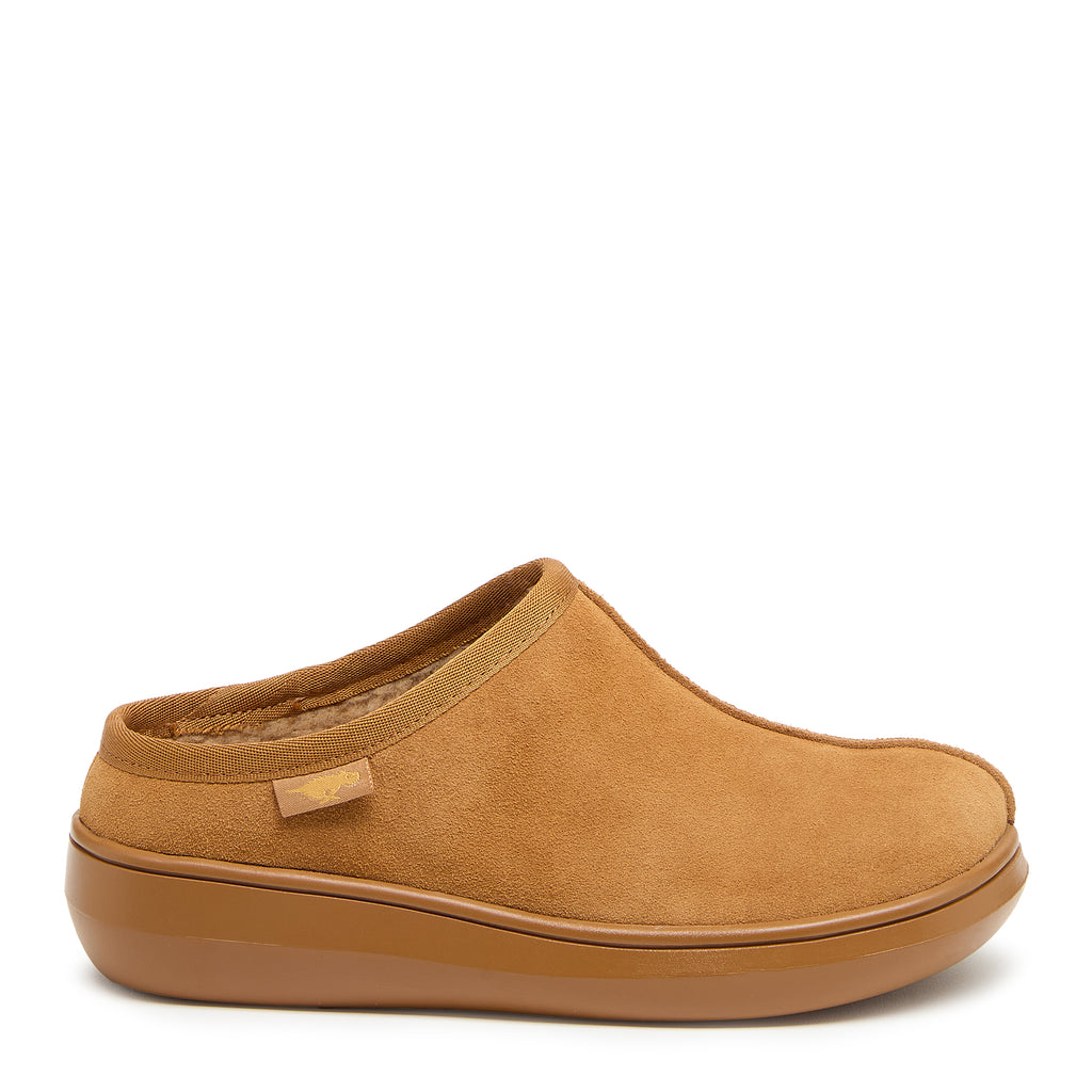 Rocket Dog Sugar camel suede shoe, women's everyday shoe