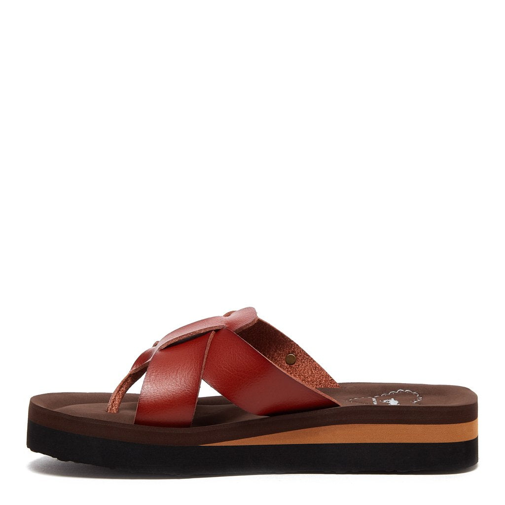 Rocket Dog Wilmer women's brown flip flop, casual slip-on
